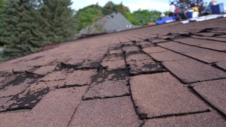 Best Roof Waterproofing  in Fairfax, MN