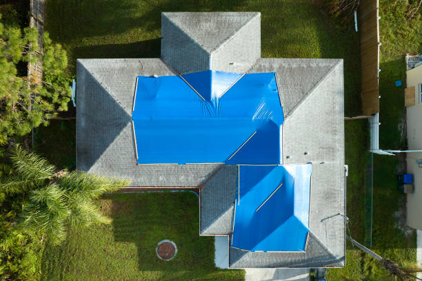 Best Metal Roofing Installation  in Fairfax, MN