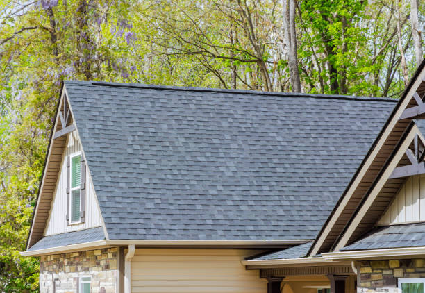 Best Solar Panel Roofing Installation  in Fairfax, MN